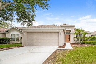 13116 Early Run Ln in Riverview, FL - Building Photo