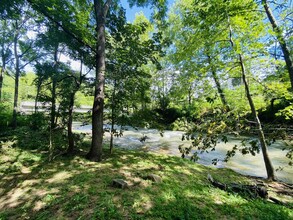 The Forks Of Ivy Apartments in Weaverville, NC - Building Photo - Building Photo