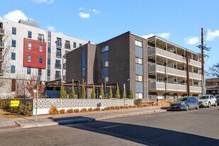 Dolphin in Denver, CO - Building Photo