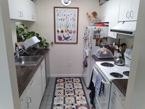 218 Thorndike St, Unit 1 in Cambridge, MA - Building Photo - Building Photo