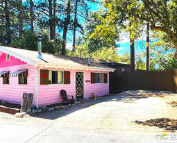 25305 Marion Ridge Dr in Idyllwild, CA - Building Photo