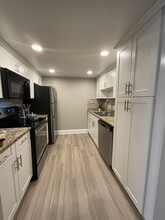 Seastone Luxury Apartments in Temple Terrace, FL - Building Photo - Building Photo