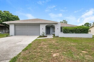10142 Bannister St in Spring Hill, FL - Building Photo