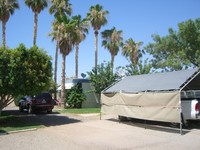 Cactus Tree in Yuma, AZ - Foto de edificio - Building Photo