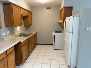 16622 Theresa Ln in Tinley Park, IL - Building Photo - Building Photo