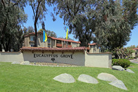 Eucalyptus Grove Apartments photo'