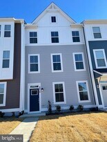 8816 Selby Ct in Spotsylvania, VA - Building Photo