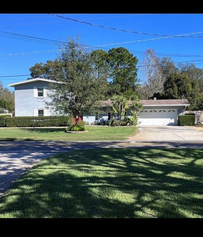 14907 N Rome Ave in Tampa, FL - Foto de edificio - Building Photo