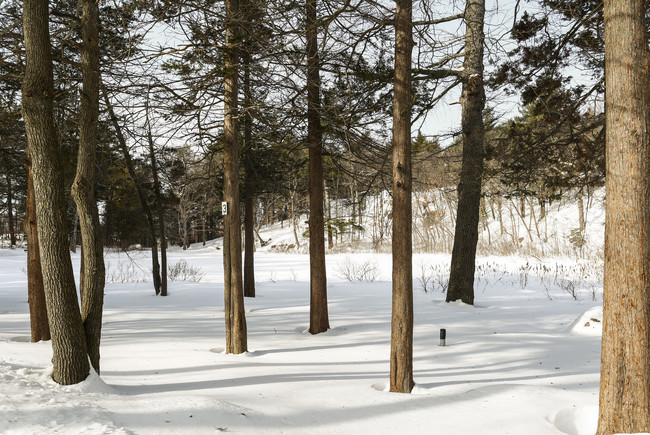 Apartamentos Alquiler en Oak Grove Pine Banks, MA