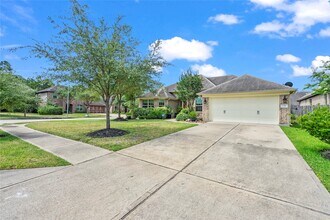 31503 Reston Cliff Ct in Spring, TX - Building Photo - Building Photo