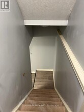 19 Sophia Crescent in Kitchener, ON - Building Photo - Building Photo