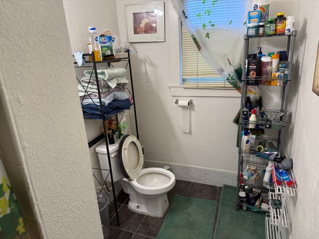 393 N Euclid Ave in Pasadena, CA - Building Photo - Building Photo