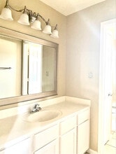 24210 Schivener House Ln in Katy, TX - Building Photo - Building Photo