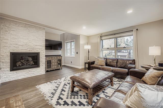 717 Meadow Dr in Frisco, CO - Building Photo - Building Photo