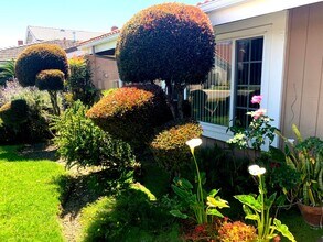 18893 Santa Isadora St in Fountain Valley, CA - Foto de edificio - Building Photo