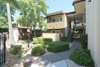 Marconi Oaks in Sacramento, CA - Foto de edificio - Building Photo