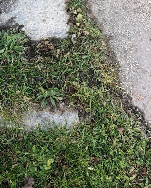 property at 590 Frost Ave