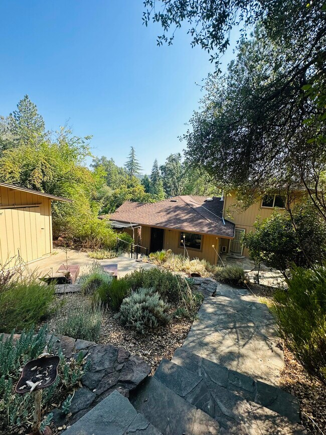 1091 Cindy Ct Rentals in Placerville, CA