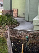 6908 Sandy Souza Way in Elk Grove, CA - Building Photo - Building Photo
