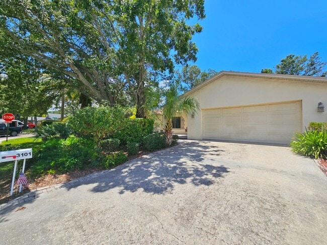 3101 Egret Terrace in Safety Harbor, FL - Building Photo - Building Photo