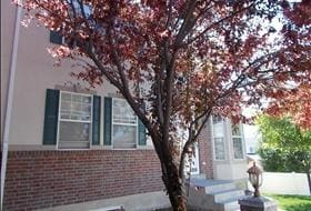1045 N 130 W in Logan, UT - Building Photo - Building Photo