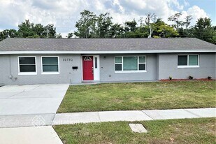 10582 Jane Eyre Dr in Orlando, FL - Building Photo