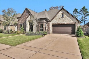 17339 Camillia Trails in Woodloch, TX - Building Photo
