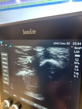 15101 Callohan Ct in Silver Spring, MD - Building Photo - Building Photo