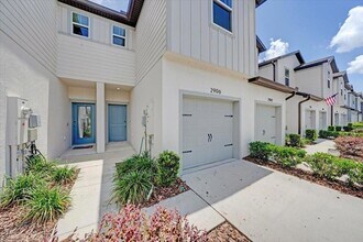 2906 Deer Pine Trail in Land O Lakes, FL - Building Photo - Building Photo