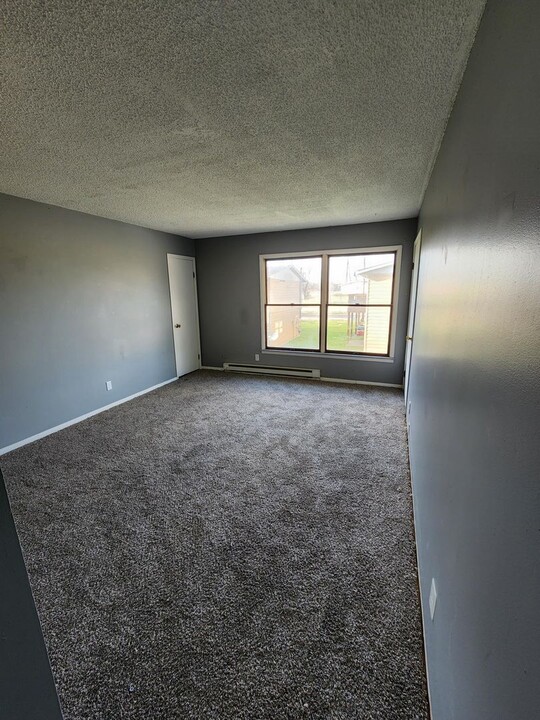 1501 S Division St in Carterville, IL - Building Photo