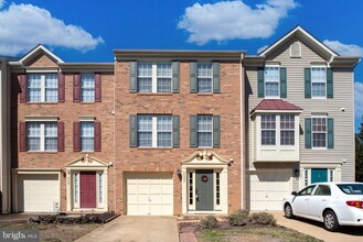 4303 Cider Barrel Ct in Fredericksburg, VA - Foto de edificio - Building Photo