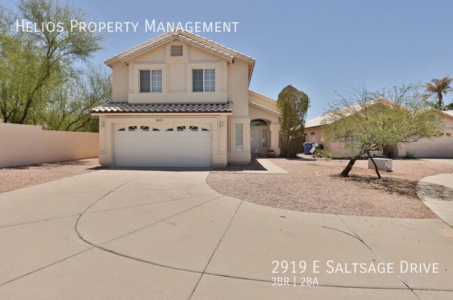 2919 E Saltsage Dr in Phoenix, AZ - Building Photo - Building Photo
