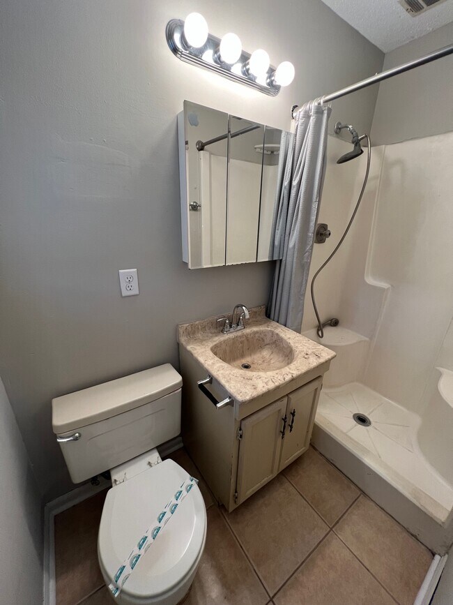 811 Robin Hood Trail in Statesboro, GA - Building Photo - Building Photo