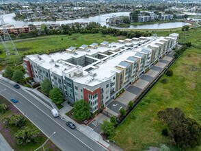 Tidelands in San Mateo, CA - Building Photo - Building Photo