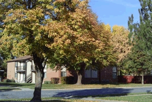 Bramblewood in Ogden, UT - Foto de edificio - Building Photo