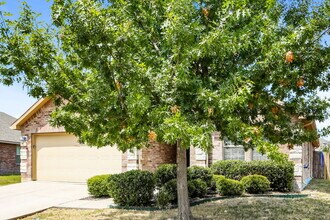 529 Indian Paintbrush in Rockwall, TX - Foto de edificio - Building Photo