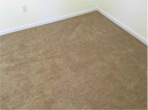 106 Spring Meadow Cir in Jacksonville, NC - Foto de edificio - Building Photo