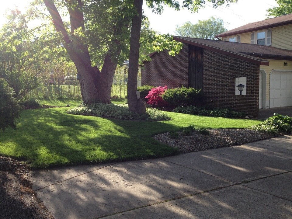 917 Lattavo St NE in Canton, OH - Building Photo