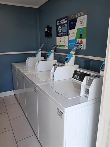 4950 Live Oak St in Dallas, TX - Building Photo - Building Photo