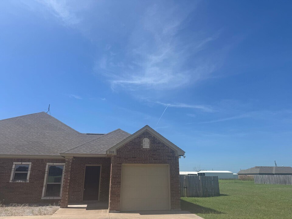 203 Walker Ln in Millsap, TX - Building Photo
