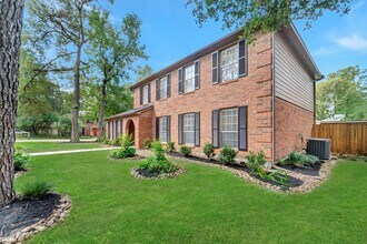 17 E Wandering Oak Dr in Spring, TX - Building Photo - Building Photo