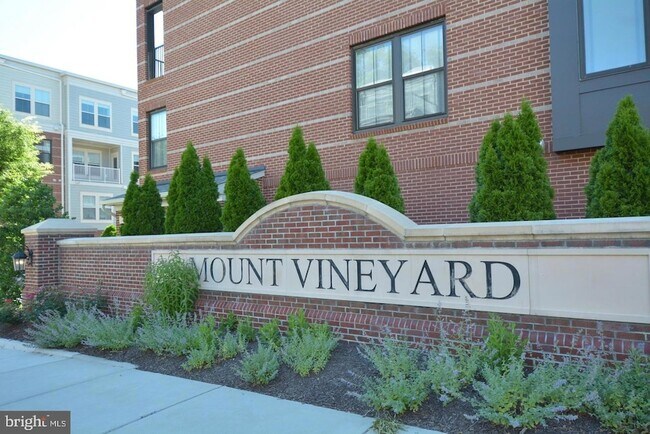 3989 Norton Pl, Unit 104 in Fairfax, VA - Foto de edificio - Building Photo