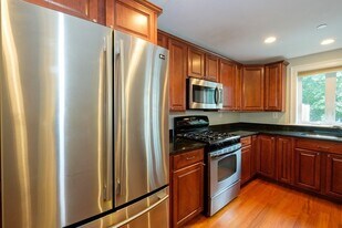 30 Adamson St, Unit 30 in Boston, MA - Building Photo