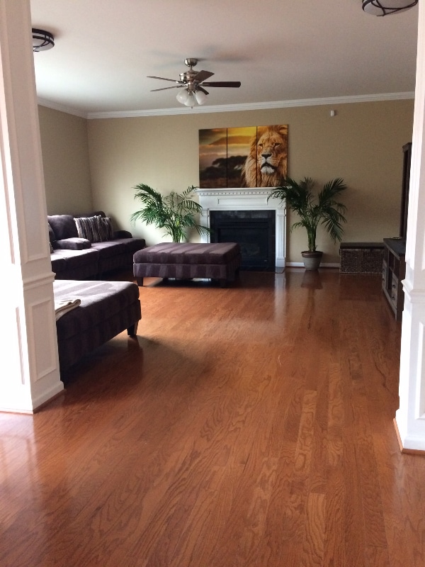 1416 Beech Hollow Ct in Nashville, TN - Building Photo - Building Photo