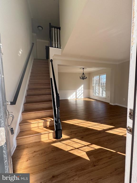 6485 Ashby Grove Loop in Haymarket, VA - Building Photo - Building Photo
