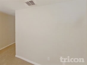 10923 Rainbow Pyrite Dr in Wimauma, FL - Building Photo - Building Photo