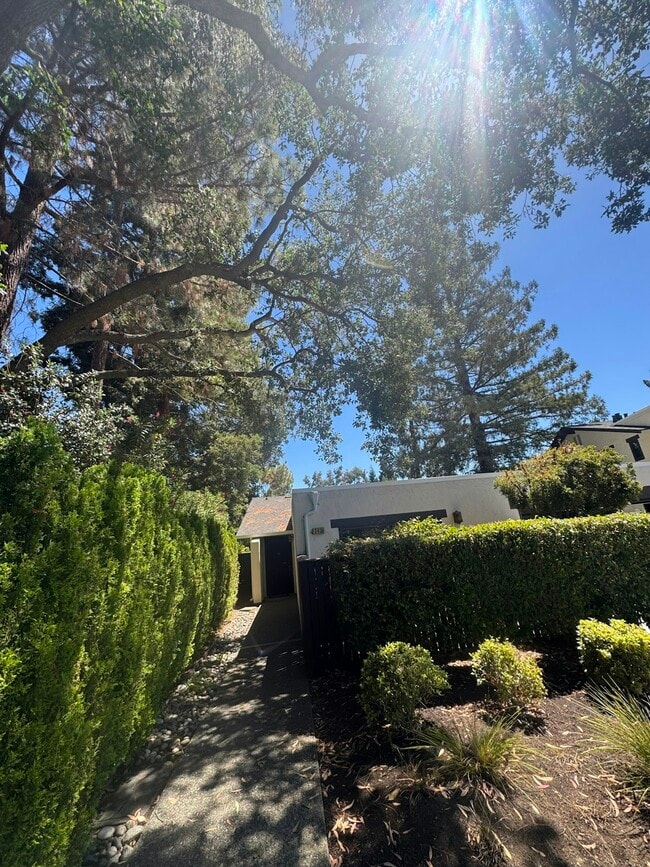 2439 Sharon Oaks Dr in Menlo Park, CA - Building Photo - Building Photo
