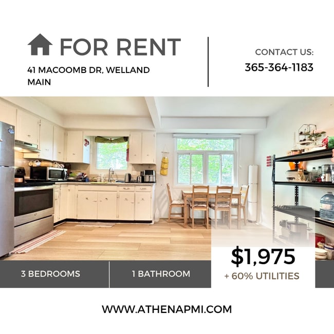 property at 41 Macoomb Dr