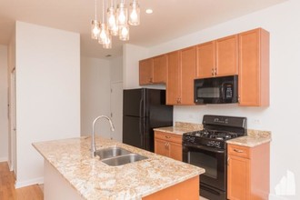 1351 S Halsted St in Chicago, IL - Building Photo - Building Photo