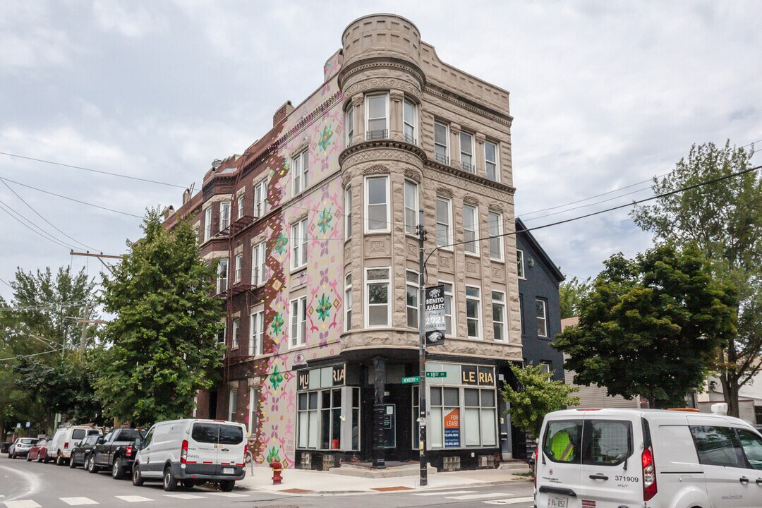 818 W 18th St-Unit -1R in Chicago, IL - Building Photo